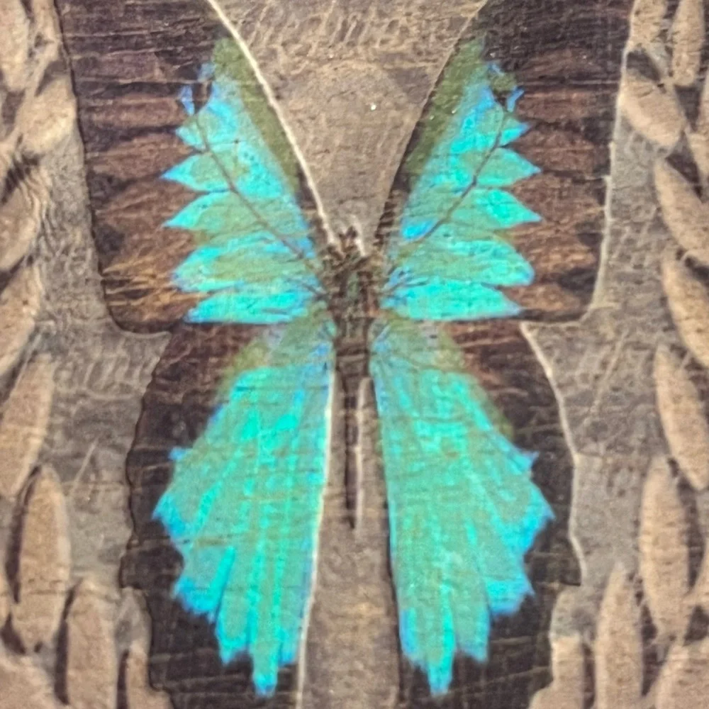 KBD USA Butterfly Card Holder